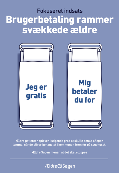 Fokuseret indsats 2023