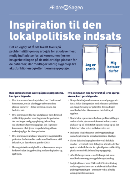 Fokuseret indsats - inspiration til den lokalpolitiske indsats 2023