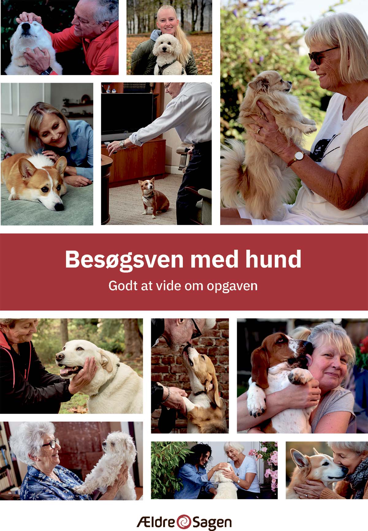 Besøgsven med hund - godt at vide om opgaven